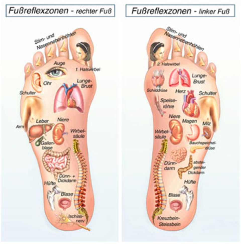 Fußreflexzonenmassage: Reflexzonen: Jedes Fußareal wird einem Organ zugeordnet