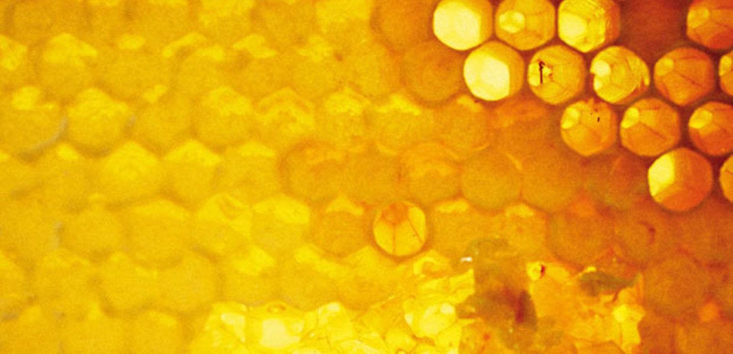 Kosmetik mit Honig: Süßes für die Haut