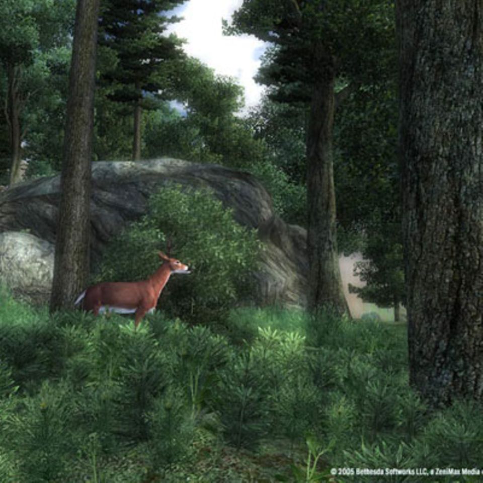 Denkt Ihr an Bambi, werter Held? Oder denkt ihr an ein saftiges Hirschsteak?