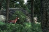 Denkt Ihr an Bambi, werter Held? Oder denkt ihr an ein saftiges Hirschsteak?