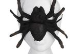 Gruselige Maske in Spinnenform für ca. 4 Euro bei www.gruselgruft.de
