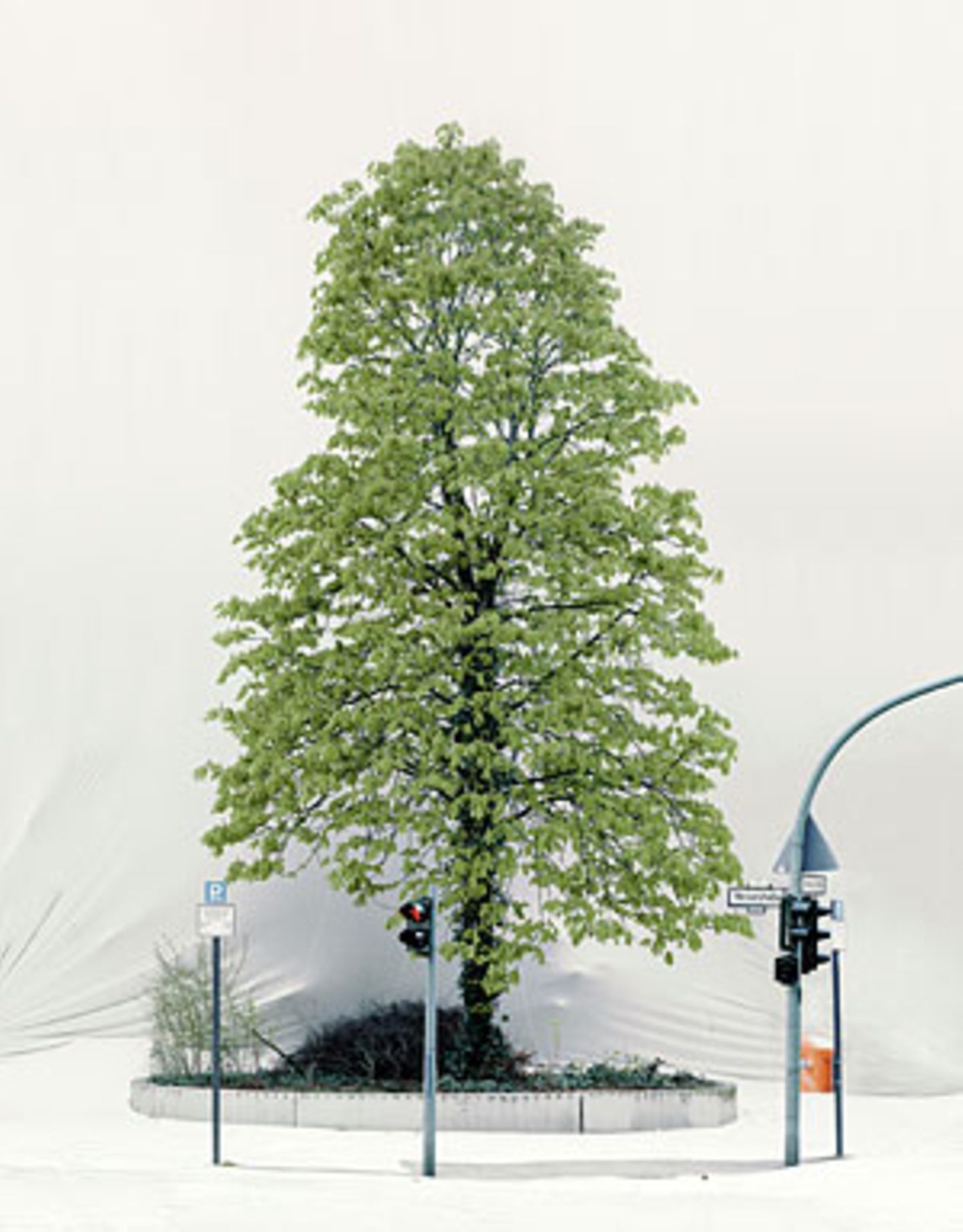Florian Rexroth hat in Berlin die Umgebung mit Stoff verhüllt, um Bäume sichtbar zu machen. Der Vergleich mit Christo liegt nah. Der allerdings verhüllte den Reichstag, um ihn sichtbar zu machen.