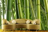 Ein Bambus-Wald für's Wohnzimmer. Um  100 Euro, über Bilder-Welten. Größe: ca. 270 x 144 cm.