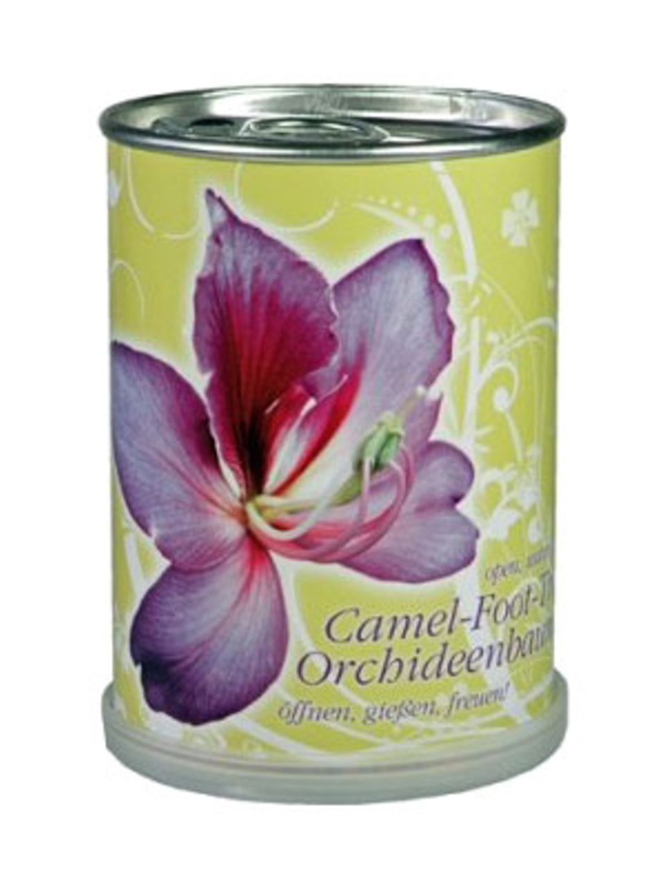 Die Orchidee in der Dose. Öffnen, gießen und schon duftet es in deinem Zimmer nach Orchidee. Um sechs Euro bei Tolle Geschenke.