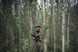 1. Preis in der Kategorie: People in the News, Stories Ein PKK-Kämpfer in einem Waldgebiet im Nord-Irak