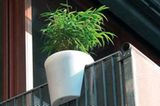 Die Alternative zum Blumenkasten: der Steckling. Einfach über die Balustrade des Balkons stecken, Blume rein und fertig. Um 40 Euro bei design3000.