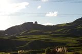 Wallende Hügel in Neuseeland