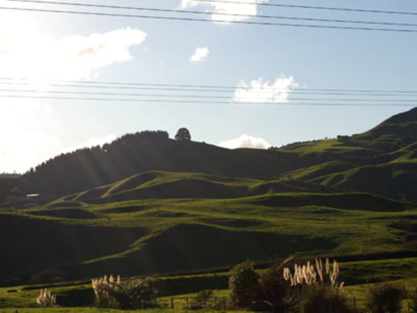 Wallende Hügel in Neuseeland