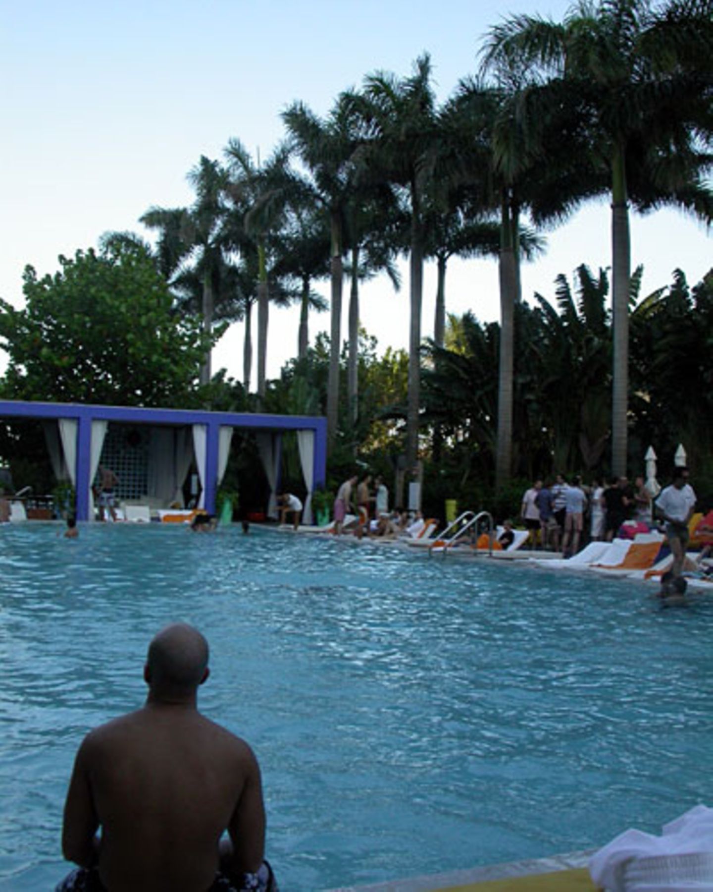 Partys wie im Werbespot: In Miami Beach feiert man gern am Pool. Hier in der Sky Bar des Shore Club Hotels.