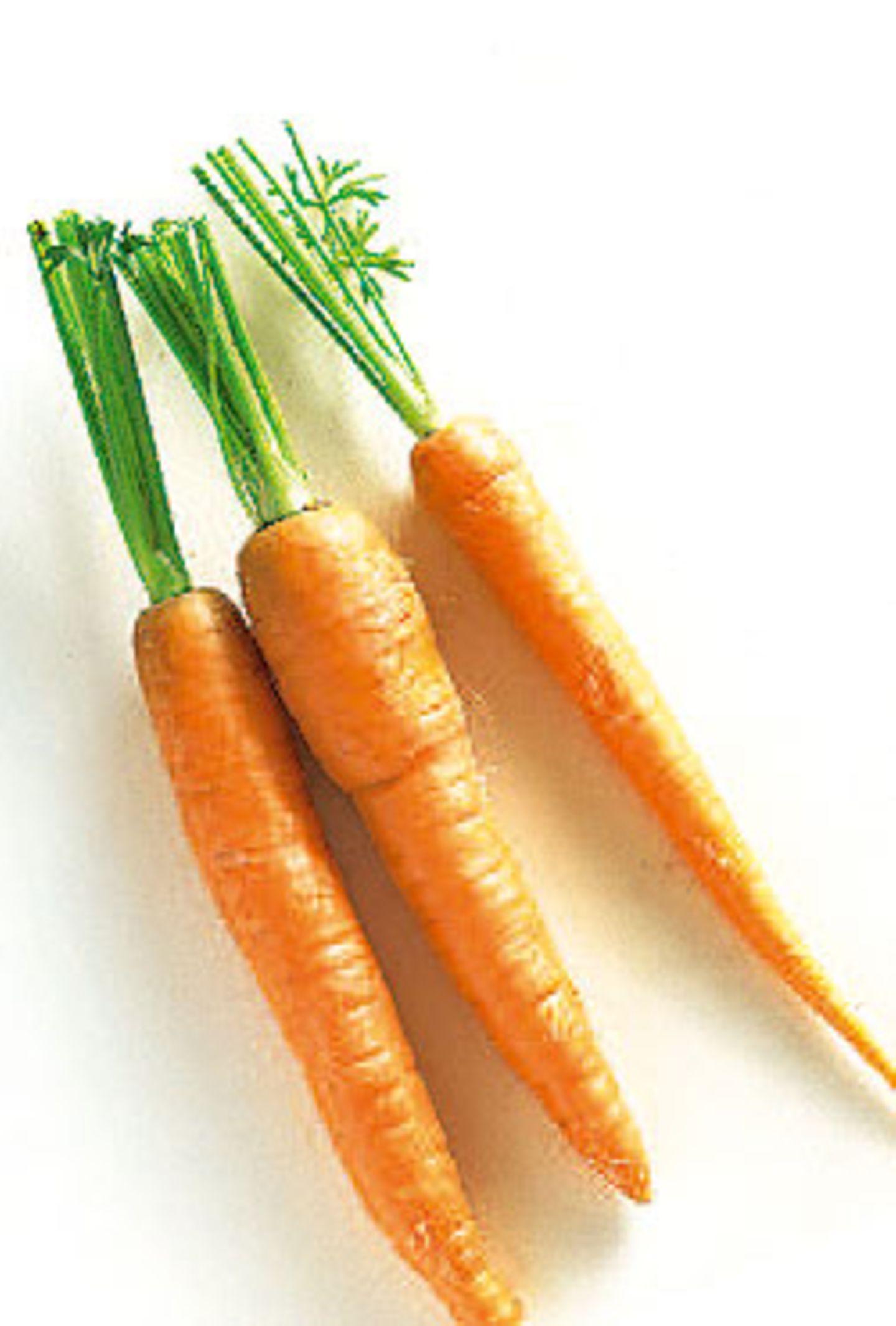 2. Karotten stärken die Konzentration.