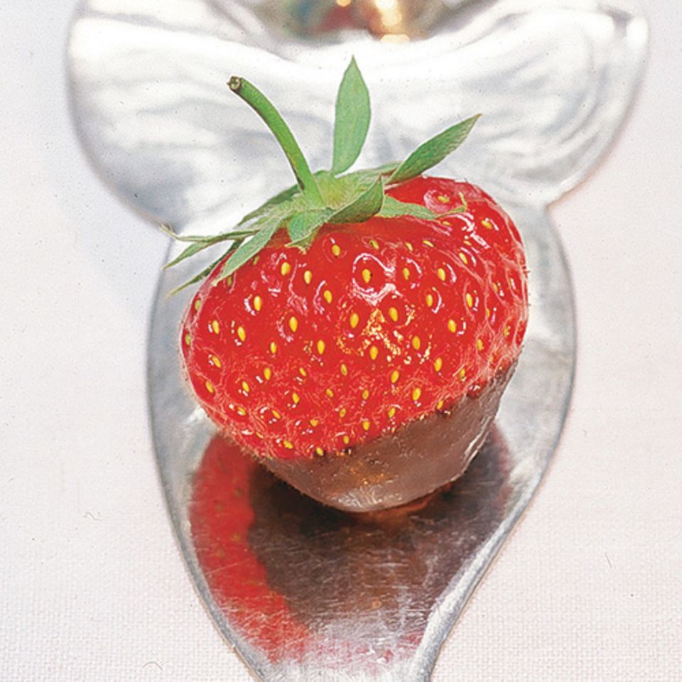 Saftige Erdbeeren in einer knackigen Schokoladenhülle - eine verführerische Kombination aus Frucht und Schokolade. Zum Rezept: Erdbeeren mit Schokoladenüberzug