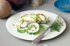 Macht stark und schlank: Dijonfisch auf Schinkengurken. Viel Eiweiß, kaum Kohlenhydrate - am besten etwa drei Stunden nach dem Training essen. Zum Rezept: Dijonfisch auf Schinkengurken Macht stark und schlank: Dijonfisch auf Schinkengurken. Viel Eiweiß, kaum Kohlenhydrate - am besten etwa drei Stunden nach dem Training essen. Zum Rezept: Dijonfisch auf Schinkengurken