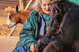 Händchenhaltend sitzen Pat und Kalu nachmittags auf einer Bank. Pat hat der Schimpansin ihren Rest-Besitz vermacht.
