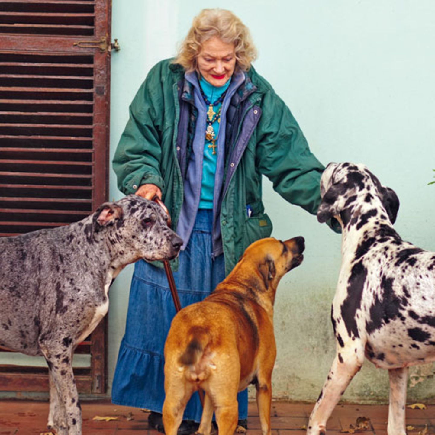 Doggen und Mischling sind immer in ihrer Nähe. Pat ohne Hunde - das wäre wie die Queen ohne Corgies.