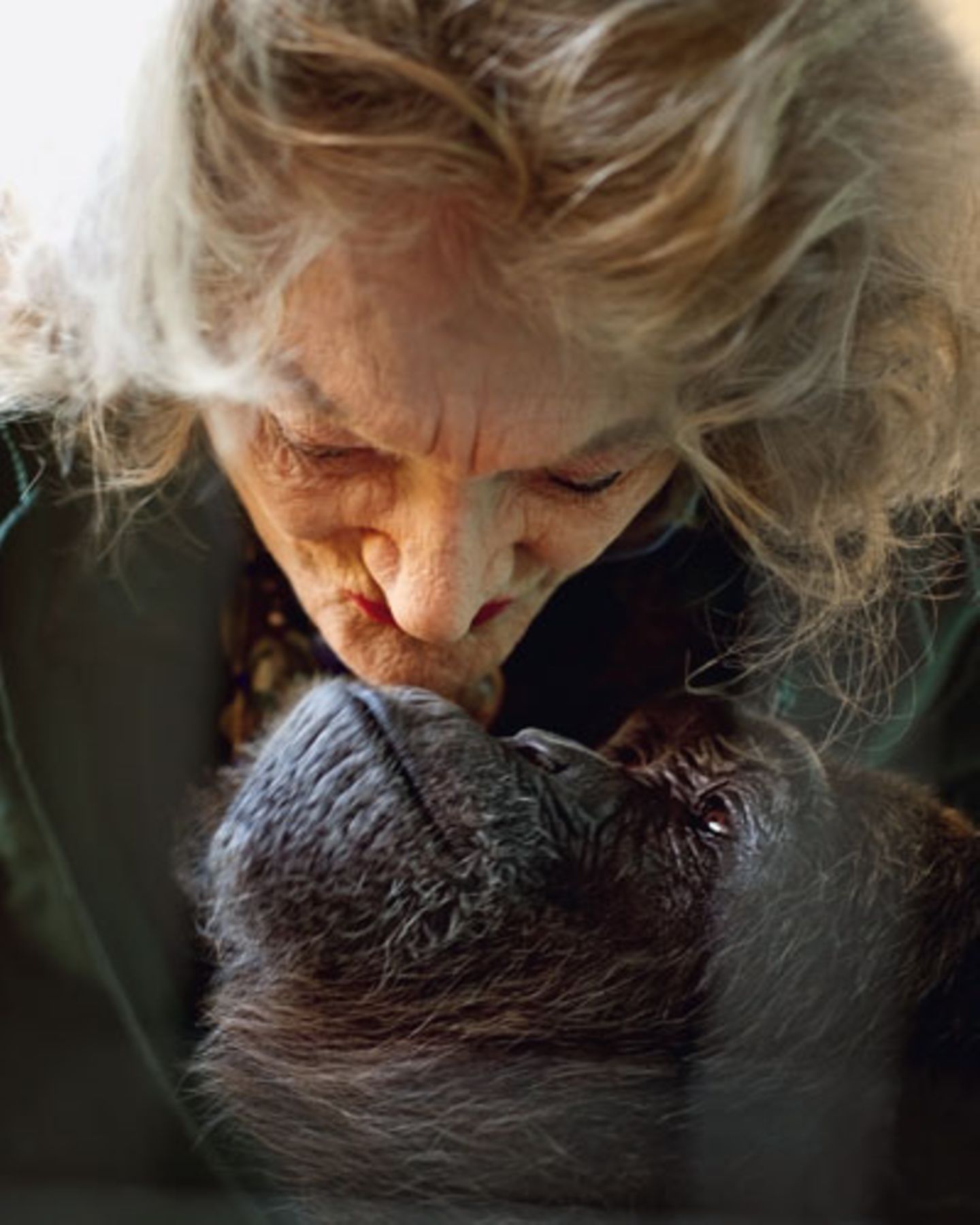 Zwei Damen, die sich innig lieben: Pat und Kalu, die Schimpansin.