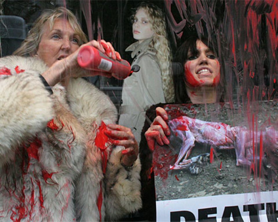 Und immer wieder Pelze: Bei einer Aktion im Schaufenster von Stardesigner Jean Paul Gaultier übergießt Ingrid Newkirk mit Aktivistinnen Pelz-Kreationen mit Kunstblut.