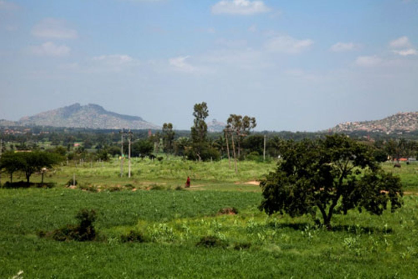 Eine Autostunde von Bangalore entfernt liegt in ländlicher Umgebung Iyengars Heimatort: das 4000-Seelen-Dorf Bellur im südindischen Kolar District.