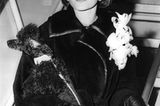 Haustiere: Maria Callas mit Pudel