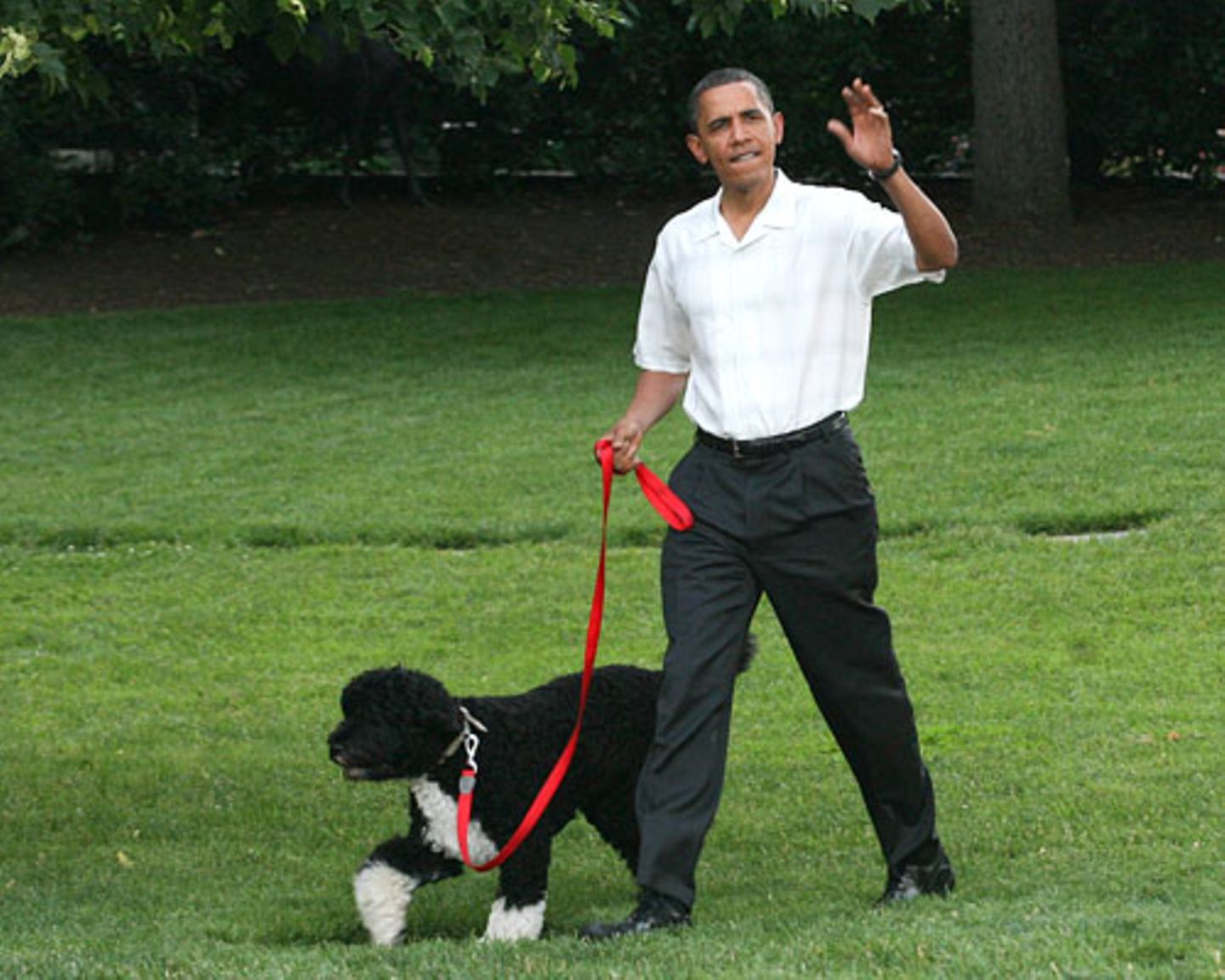 Haustiere: Barack Obama mit Hund