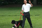 Haustiere: Barack Obama mit Hund