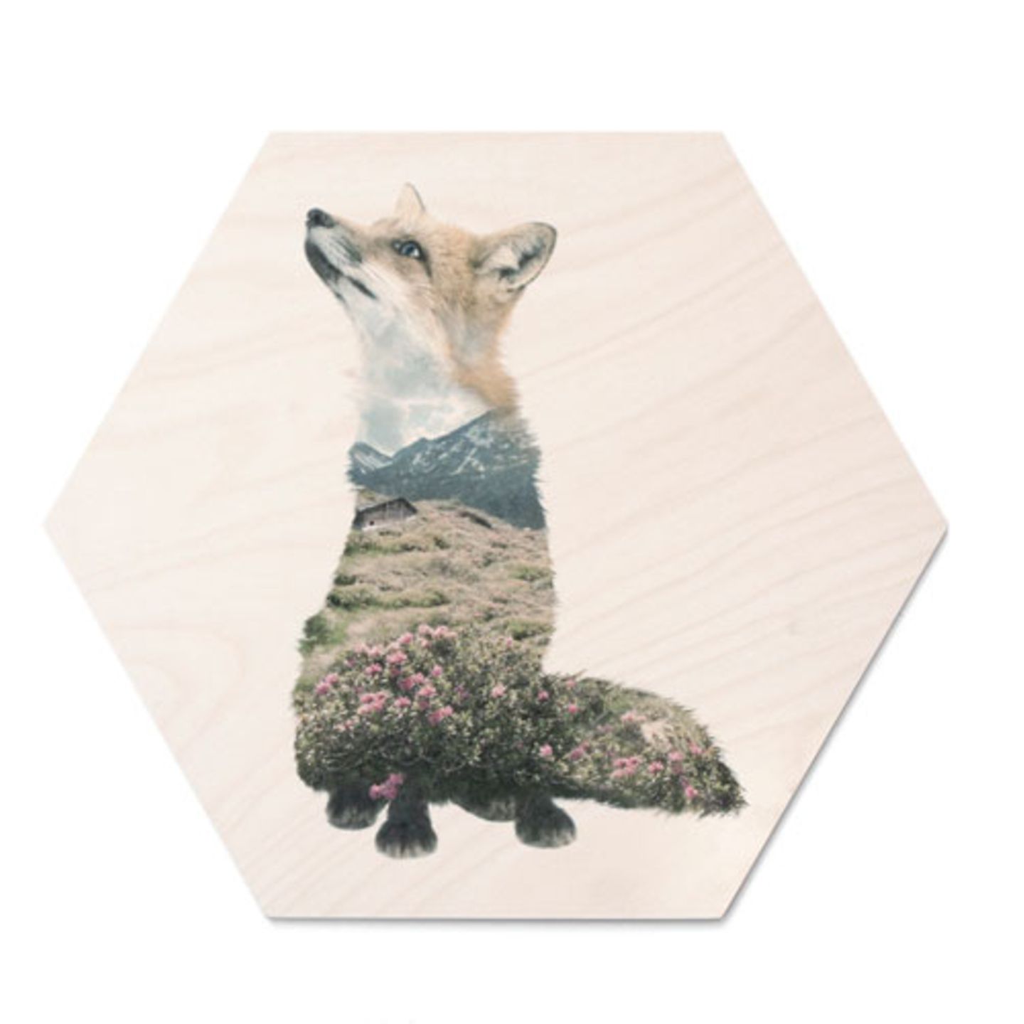 Eine interessante Alternative zu Postern: Motive, die auf Holz statt auf Papier, gedruckt sind. Das Designstudio WhatWeDo druckt seine Kunst als UV-Print in Handarbeit auf Plywood-Platten. "Fuchs Hexagon" über Lys Vintage, circa 70 Euro.