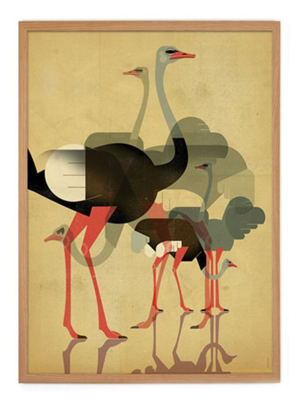 Tiermotive müssen nicht immer niedlich aussehen - diese Strauße aus dem Human Empire Shop kommen sehr kunstvoll daher. "Ostriches Poster" von Dieter Braun, circa 20 Euro.