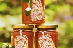 Ein bisschen sauer, ein bisschen süß, ein bisschen herb - so passt das Stachelbeer-Chutney zu Fisch oder Fleisch. Zum Rezept: Stachelbeer-Chutney Ein bisschen sauer, ein bisschen süß, ein bisschen herb - so passt das Stachelbeer-Chutney zu Fisch oder Fleisch. Zum Rezept: Stachelbeer-Chutney