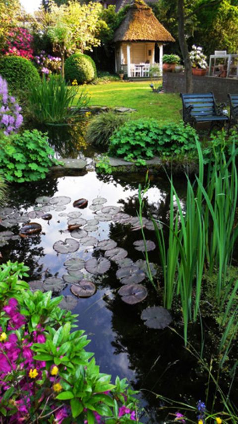 Fotowettbewerb Die schönsten Gartenfotos BRIGITTE.de