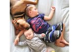 Im Netz ist Jessica Shyba schon mit ihrer ersten Fotoreihe berühmt geworden - damals lag ihr Sohn Beau allein mit Theo im Bett, der noch ein Welpe war. Zur Freude ihrer Fans wird diese Tradition nun mit dem neuen Familiennachwuchs fortgesetzt.