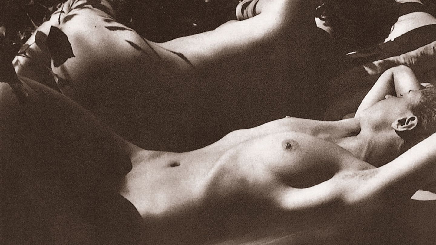 Brigitte Zeh  nackt