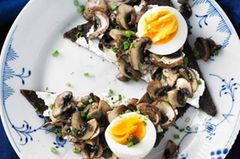 Heißer Tipp für Pumpernickel: Geröstet ist es noch mal so gut. Hier wird es mit gebratenen Pilzen, körnigem Frischkäse und gekochtem Ei belegt. Kapern sorgen für raffinierte Würze.Zum Rezept: Pilztatar auf Pumpernickel Heißer Tipp für Pumpernickel: Geröstet ist es noch mal so gut. Hier wird es mit gebratenen Pilzen, körnigem Frischkäse und gekochtem Ei belegt. Kapern sorgen für raffinierte Würze.Zum Rezept: Pilztatar auf Pumpernickel