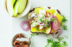 Ein opulentes Abendessen: Käsebrot mit Radieschen und Zwiebeln, dazu Appetitsild, rote Bete und Apfel. Wer rote Bete nicht mag, nimmt anderes Gemüse, etwa Paprikaschote, Möhre oder Tomaten.Zum Rezept: Smörrebröd mit Handkäse und Appetitsild Ein opulentes Abendessen: Käsebrot mit Radieschen und Zwiebeln, dazu Appetitsild, rote Bete und Apfel. Wer rote Bete nicht mag, nimmt anderes Gemüse, etwa Paprikaschote, Möhre oder Tomaten.Zum Rezept: Smörrebröd mit Handkäse und Appetitsild