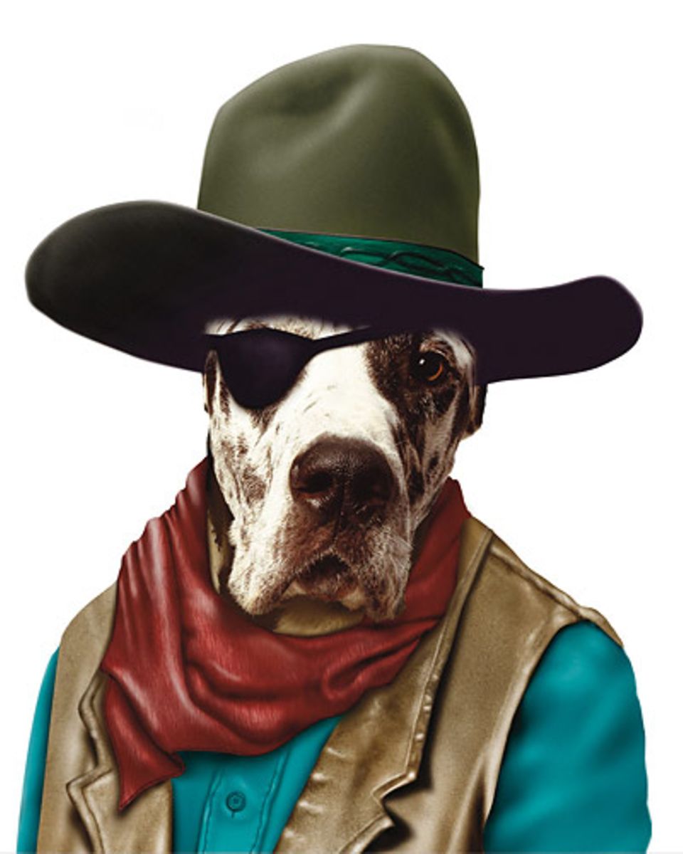 Собака ковбой. Пес в шляпе. Собака в ковбойской шляпе. Собака в шляпе смешная. Шляпки для собак.