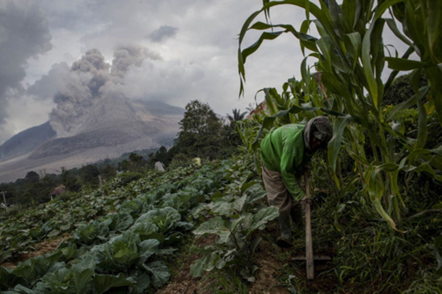 Berastagi, Indonesien: Auch auf dem Feld arbeiten die Frauen weiter, während der Sinabung im Hintergrund bedrohlich raucht.