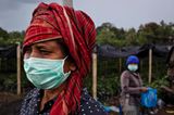 Medan, Indonesien: Die Arbeiterinnen auf einer Kaffee-Plantage tragen einen Mundschutz, weil der nahegelegene Vulkan Sinabung mal wieder Asche spuckt. Doch die Arbeit muss ja weitergehen