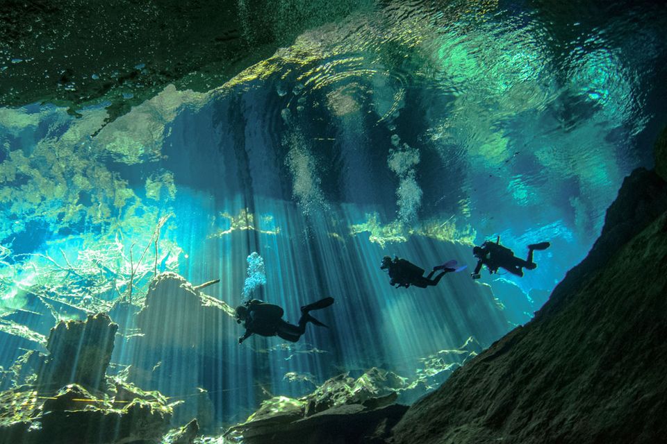 Wie eine fremde Welt: Magische Unterwasseraufnahmen