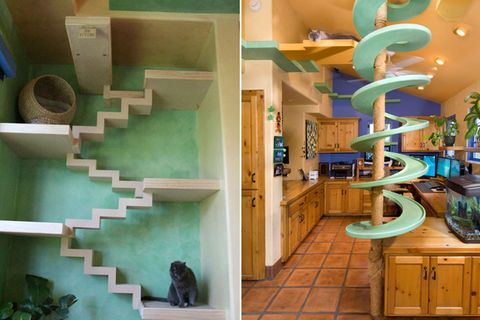 So sieht es aus, wenn Katzen ein Haus einrichten dürften