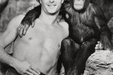 Aufgedreht: Affe Cheeta aus den "Tarzan"-Filmen