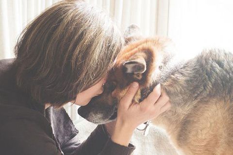"Project Cleo": Hundebesitzer nehmen Abschied