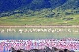 Tansania: Ngorongoro-Krater