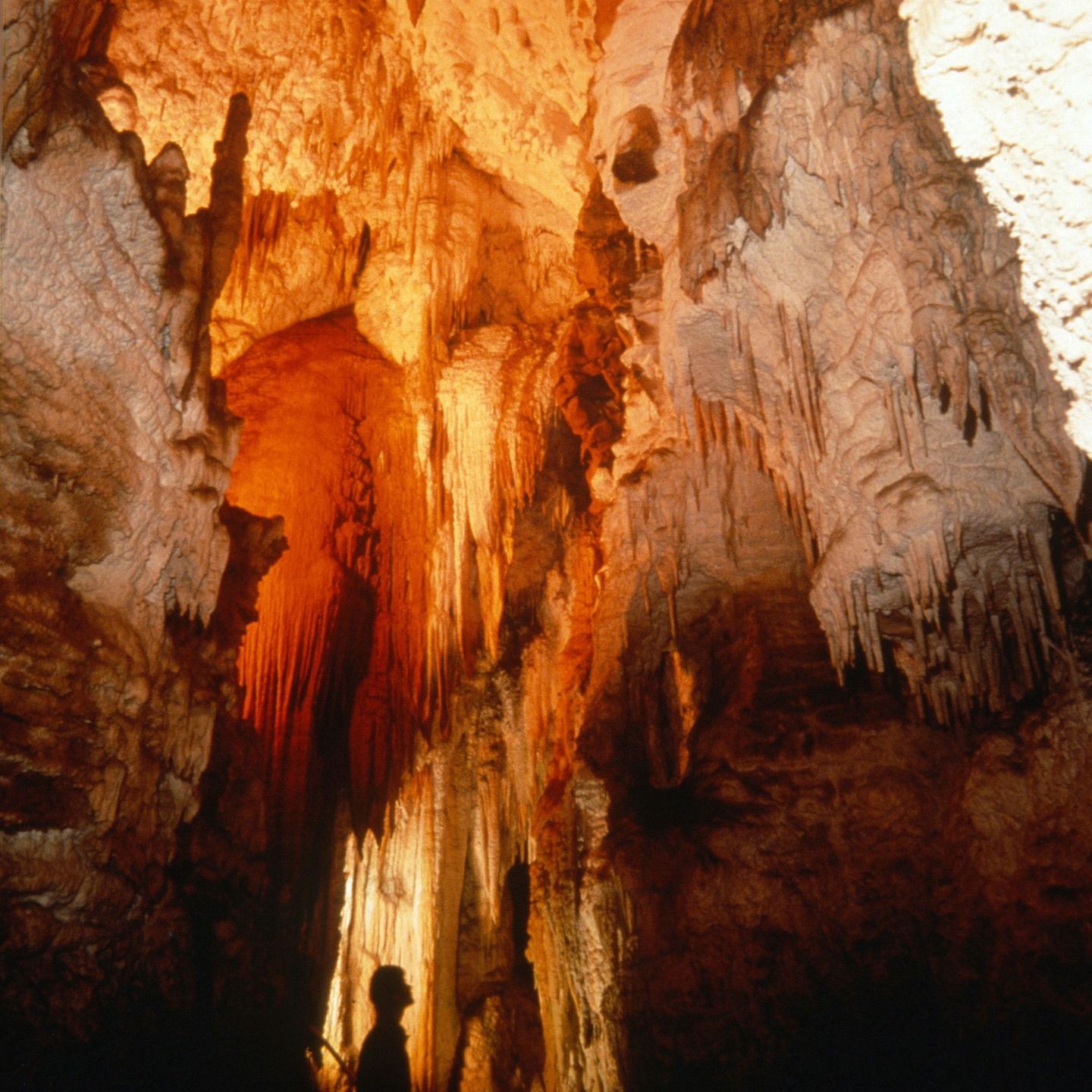 Neuseeland: Waitomo Caves