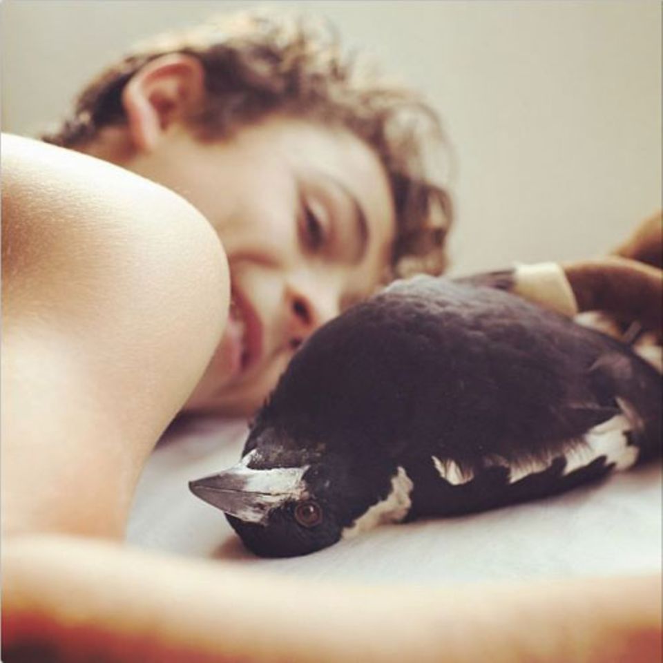 Der zehnjährige Noah rettete Elster Penguin 2013 das Leben, als sie noch ein Küken war - der Beginn einer wunderbaren Freundschaft.