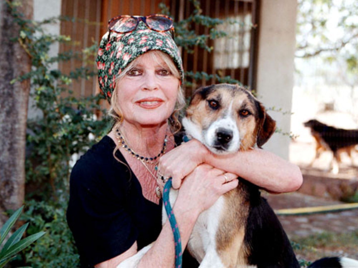 Brigitte Bardot - Von der Lolita zur Tierschützerin
