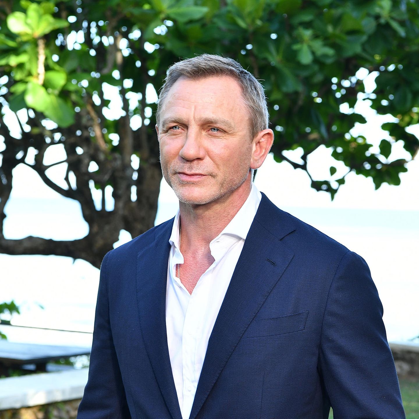 Sexy Männer: Daniel Craig