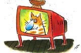 Katzen-Cartoons: Einblicke in die Haustierseele