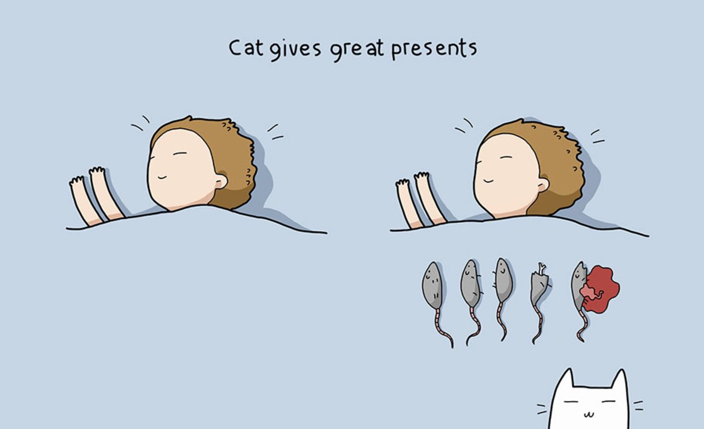 Katzenbesitzer bekommen spontane Geschenke.