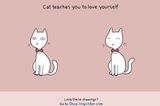 Katzen leisten Lebenshilfe, zum Beispiel: Liebe dich selbst!