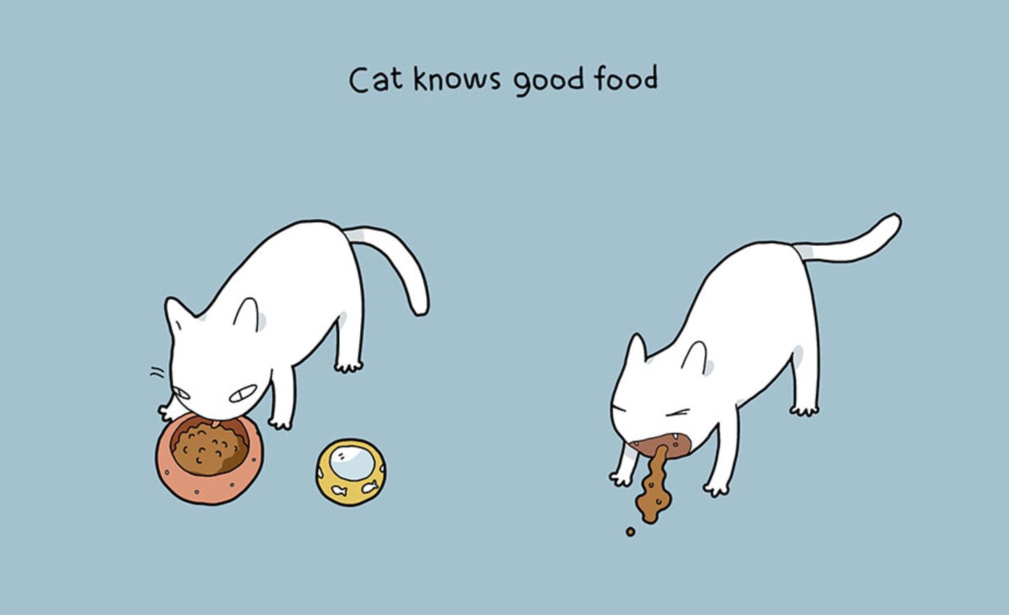 Ein Katze weiß ihr Fressen zu schätzen.