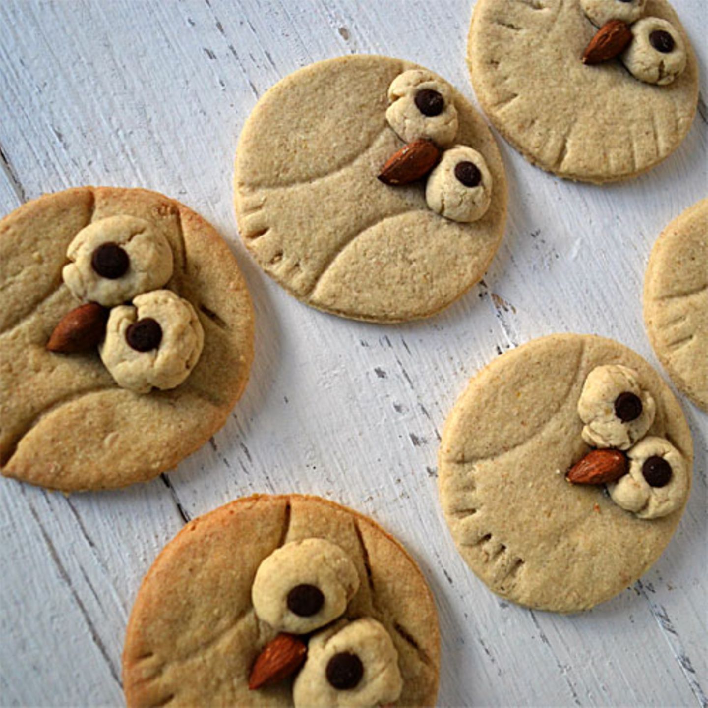 Eulen-Cookies mit Hafer und Orange