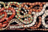 Schlangen-Labyrinth